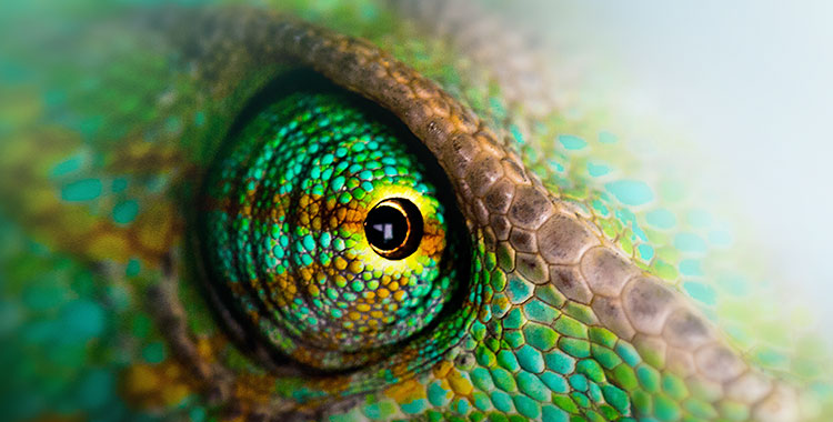 alarmOBSERVER alarmOBSERVER